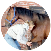 Osteopathie_Bein